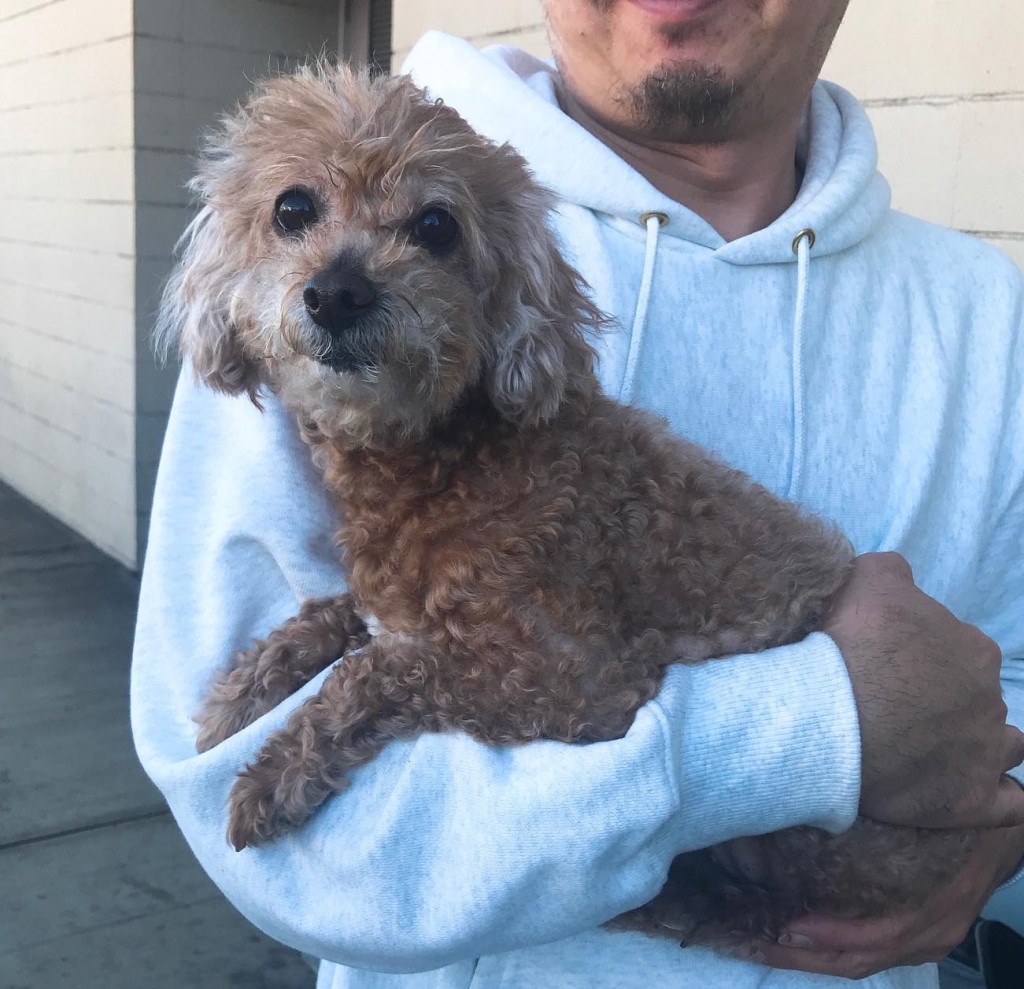 ハワイドッグご利用のお客様♡│ハワイドッグ