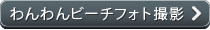 わんわんビーチフォト撮影