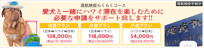 【面談サービス】飼い主様の様々な疑問や不安に関して直接カウンセリングを行い、担当者よりお応えします！